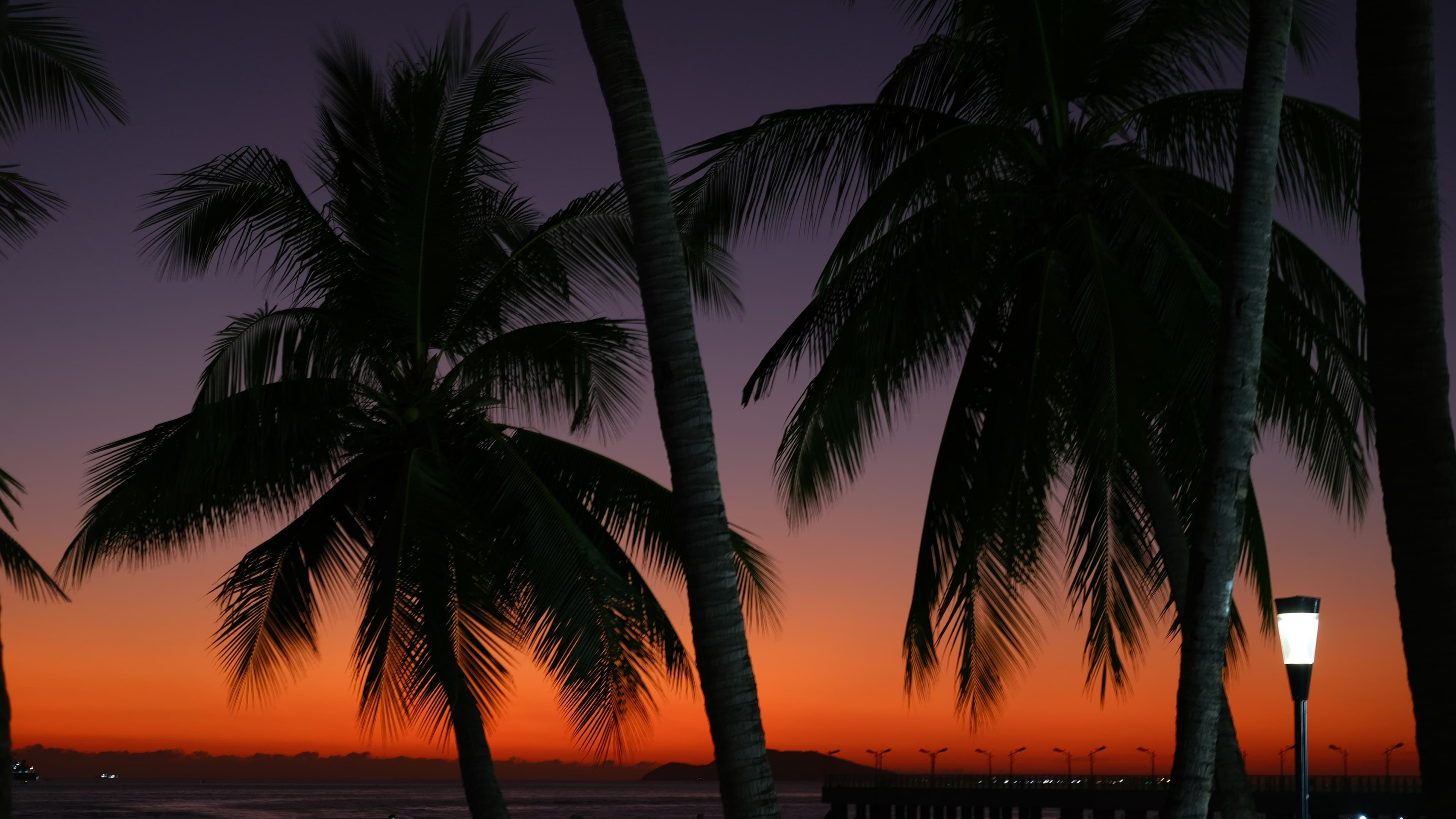 Tropical sunset with palm trees over the ocean